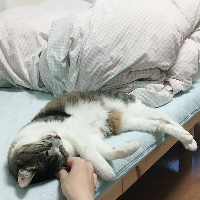 moonlightさんの実例写真