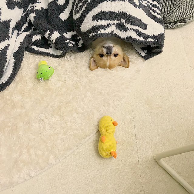 haruhinaさんの実例写真