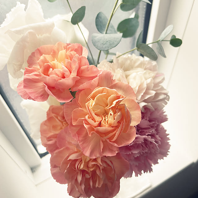 zmzmさんの実例写真