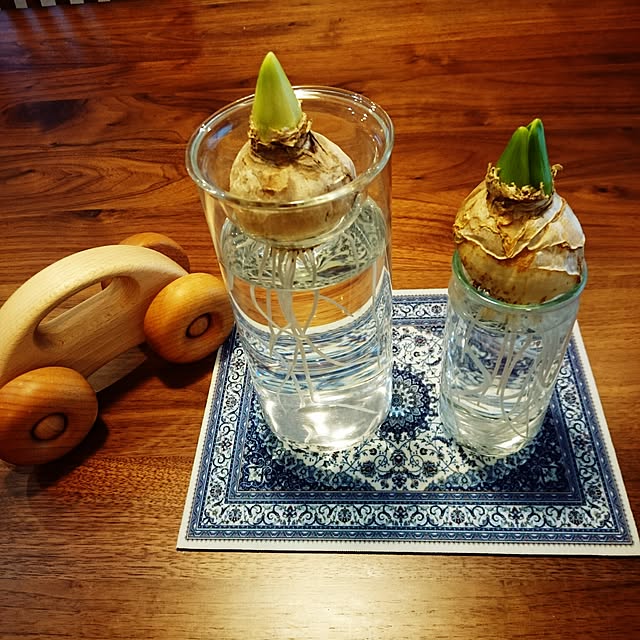 shimayaさんの実例写真