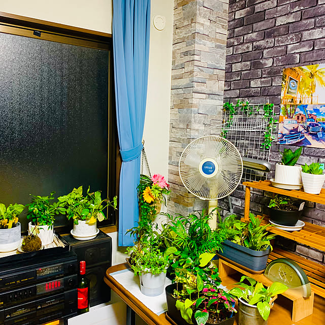 tututu0204さんの実例写真