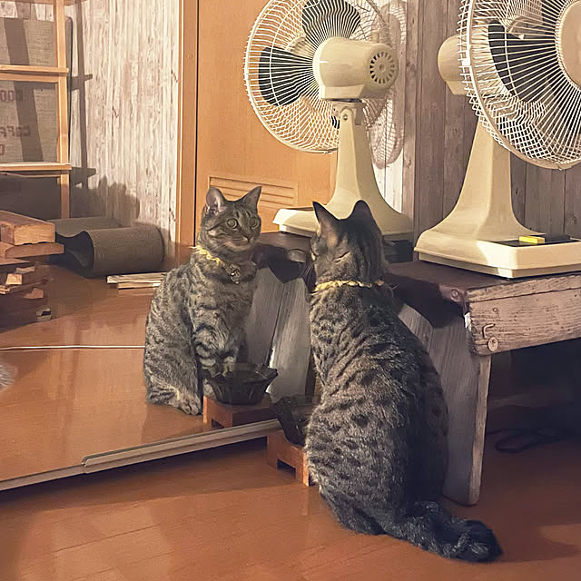 Mさんの実例写真