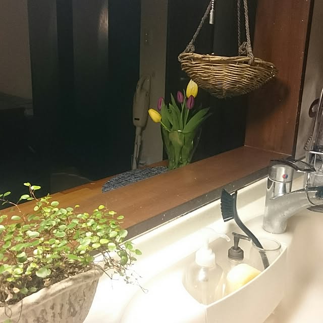 chicchiさんの実例写真