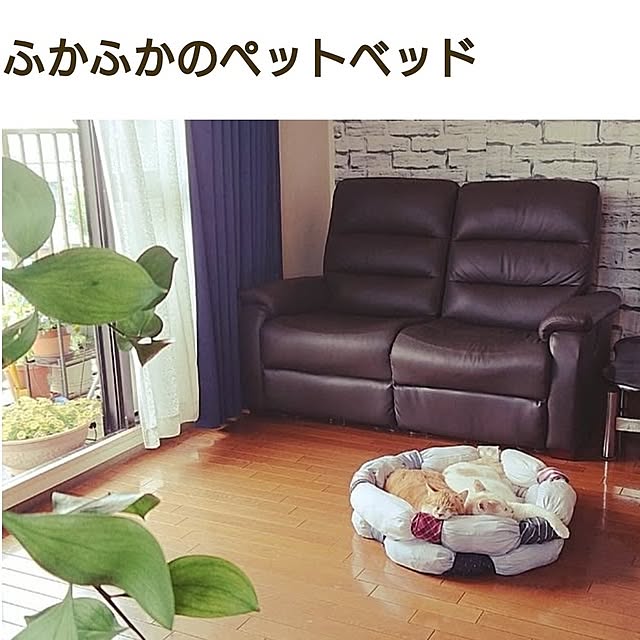 NOAHさんの実例写真