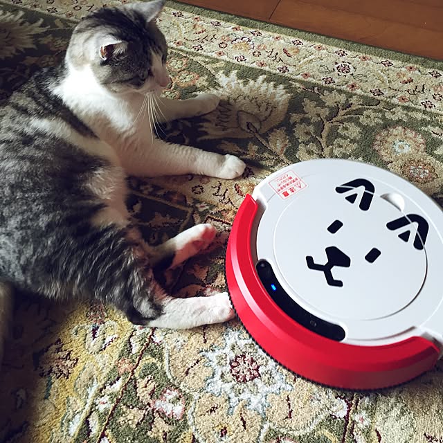 emmyyさんの実例写真