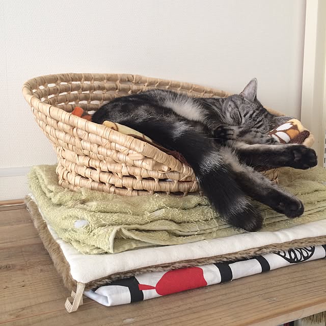 mikomaruさんの実例写真