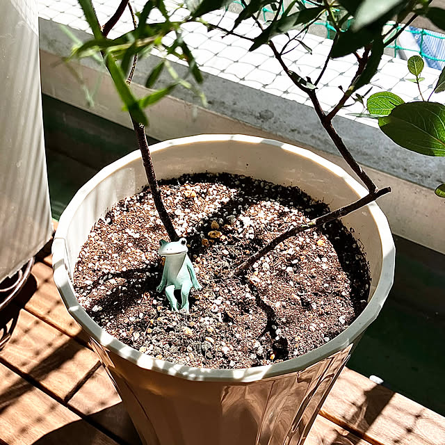 kagomamaさんの実例写真