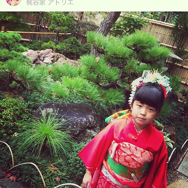 実例写真