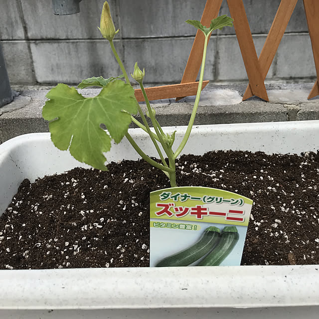 alchoさんの実例写真