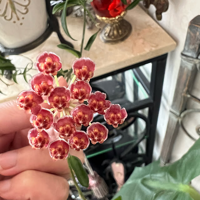 AYUKOさんの実例写真