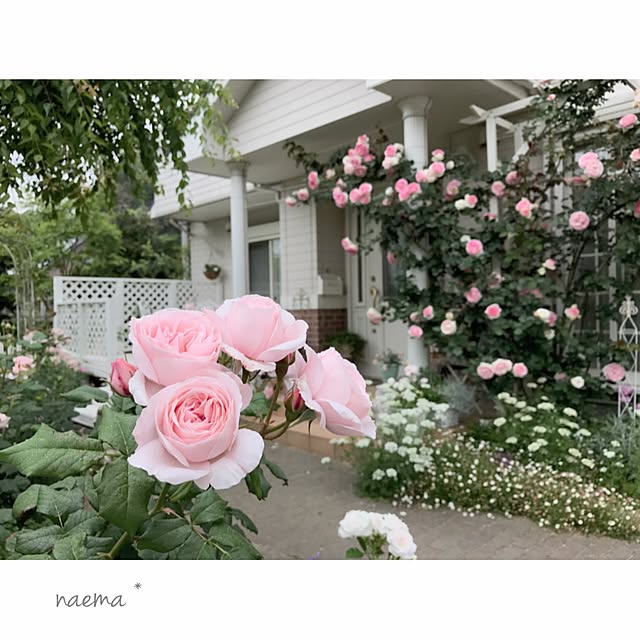 s.mamaさんの実例写真