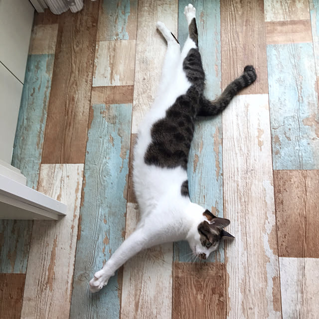 yuchiさんの実例写真