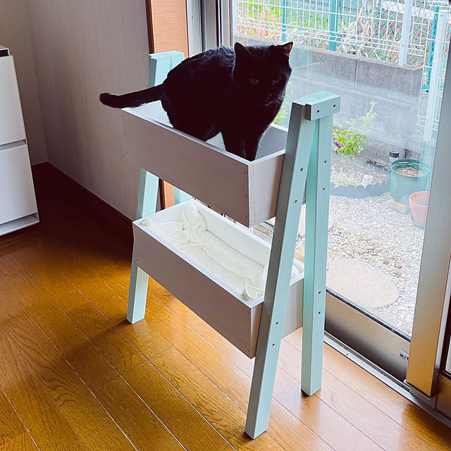 miao-kinさんの部屋
