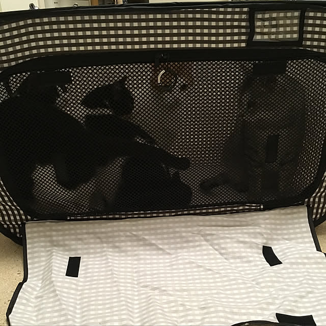 bikkeさんの実例写真