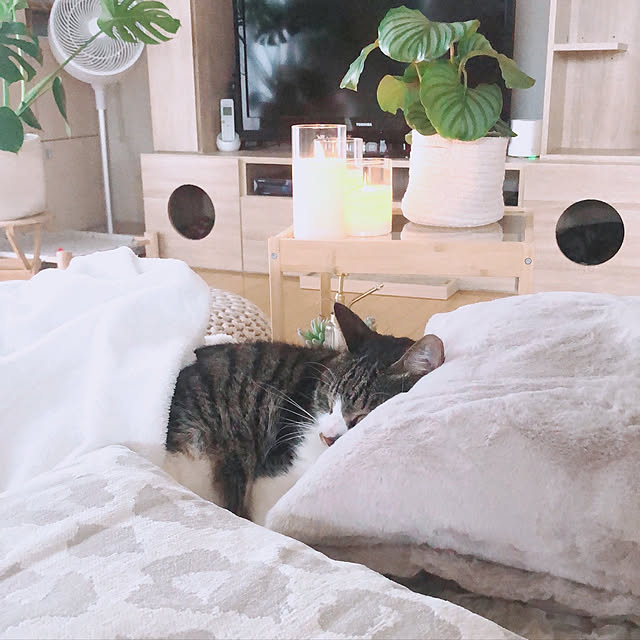 milkcocoaさんの実例写真