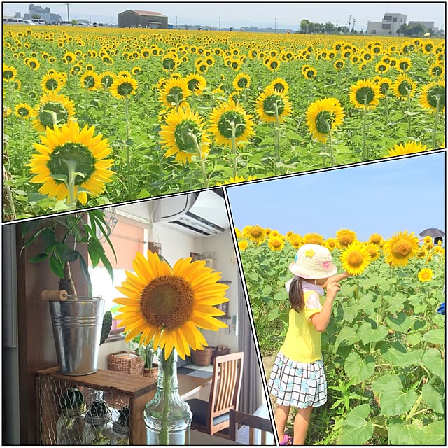 実例写真