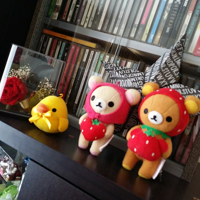 Chisatoさんの実例写真