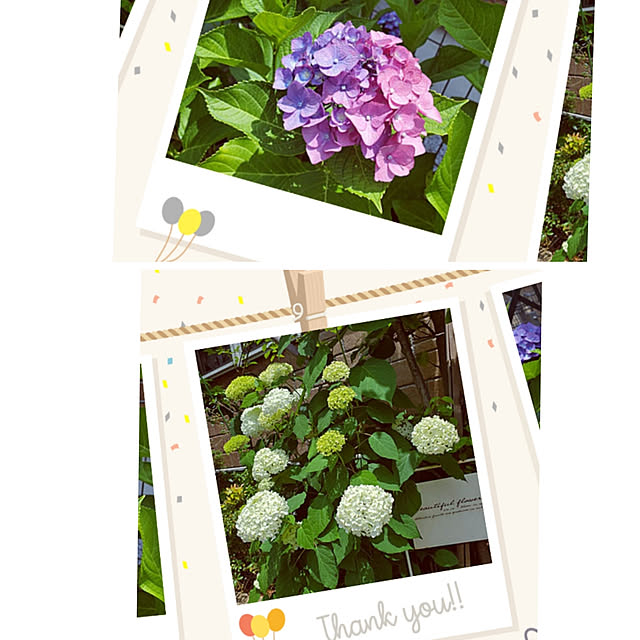 LEAFさんの実例写真