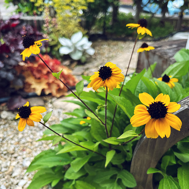 yukarin-gardenさんの実例写真
