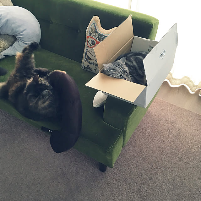 mikomaruさんの実例写真