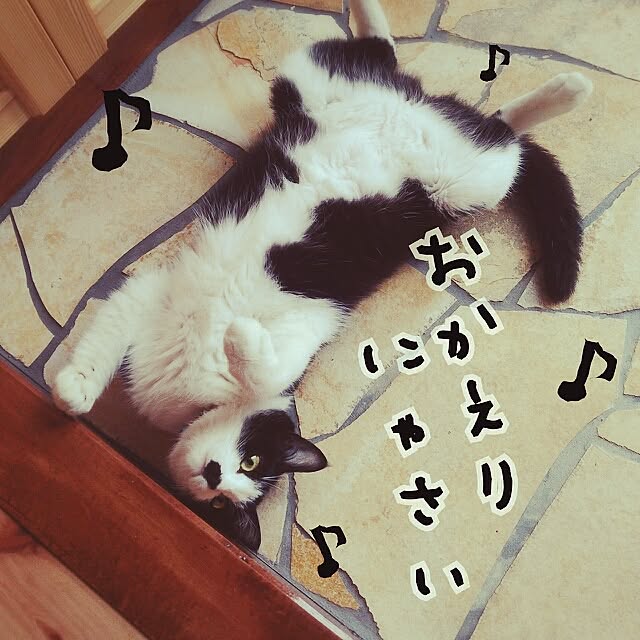 Chomeakiさんの実例写真