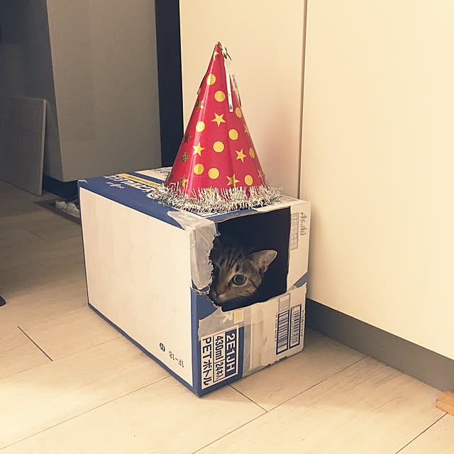 Mさんの実例写真