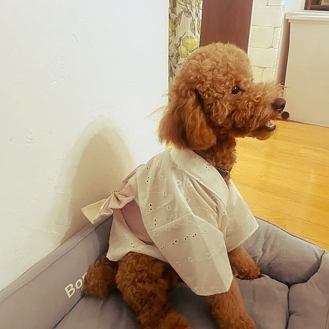 mimi828さんの部屋