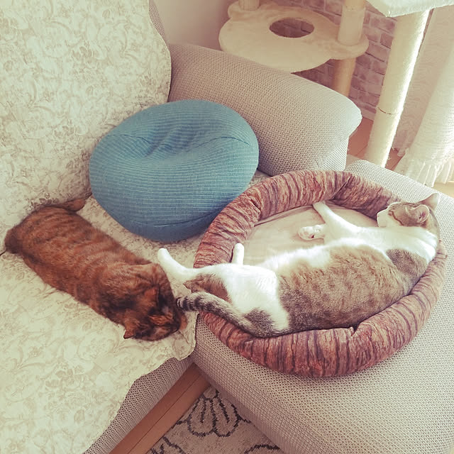 meeさんの実例写真