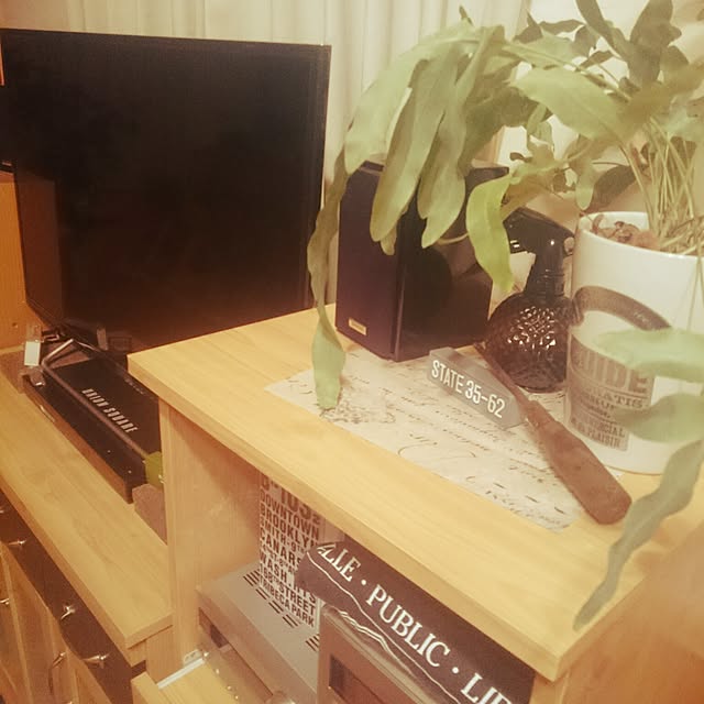 hayapapaさんの実例写真