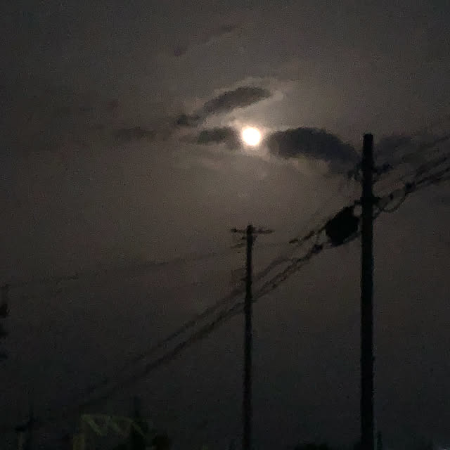 玄関/入り口/tつきの夜空のインテリア実例 - 2018-04-02 23:01:25