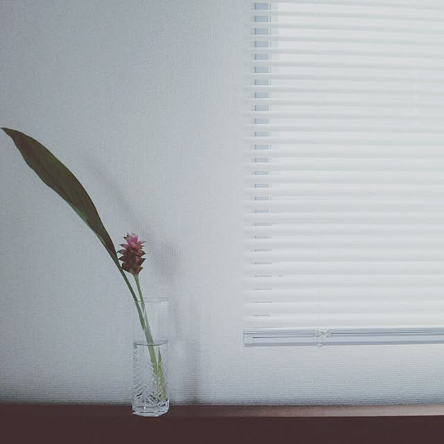 copenさんの実例写真