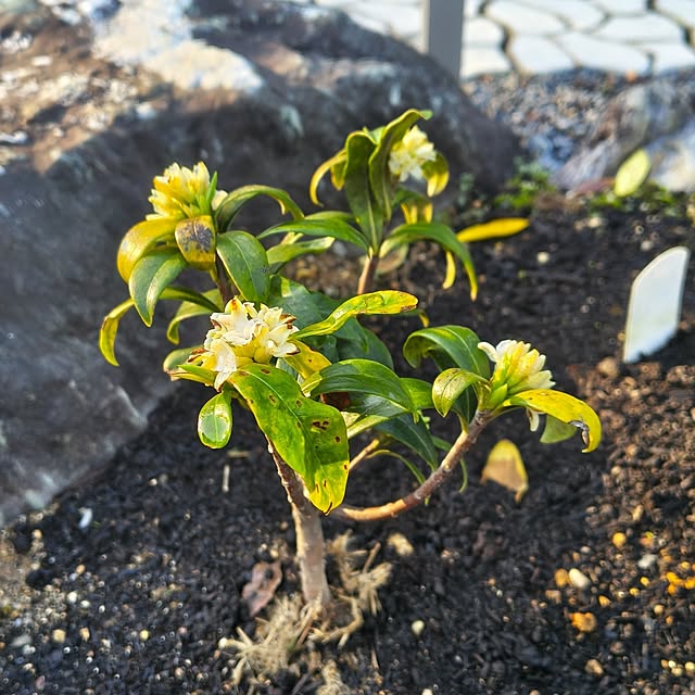 Rubiconさんの部屋