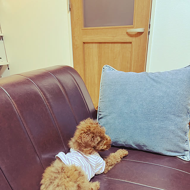 nanさんの実例写真