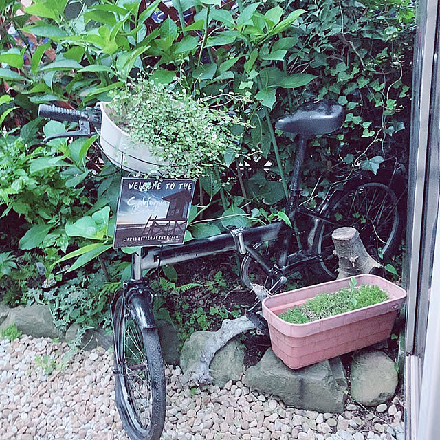 shoさんの実例写真