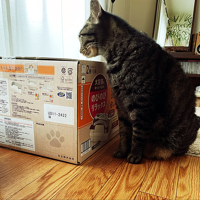 maruさんの実例写真