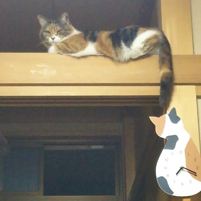 yukieさんの実例写真