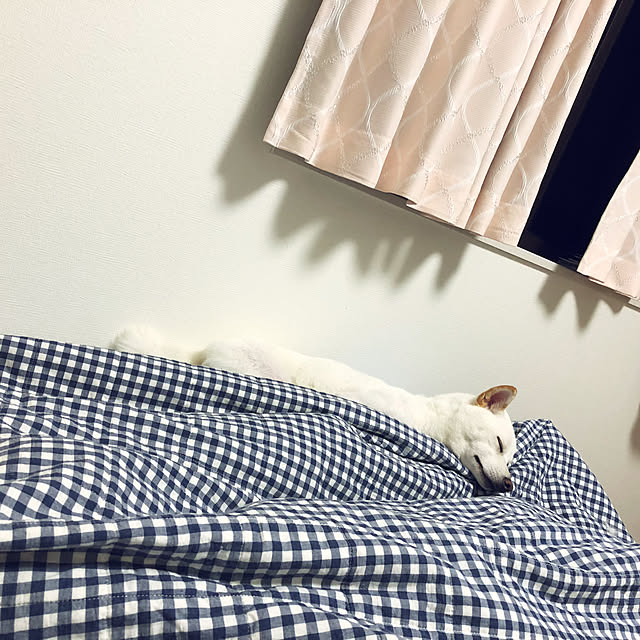 xiaopangさんの実例写真