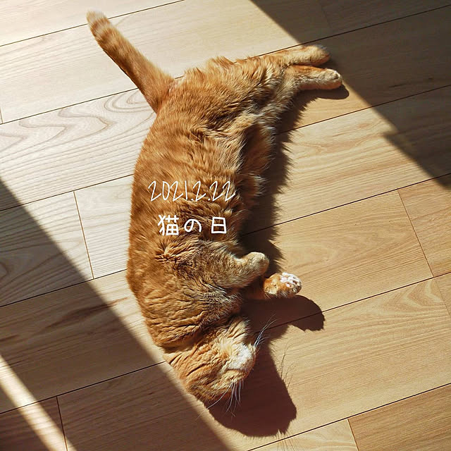 hm_myhomeさんの実例写真