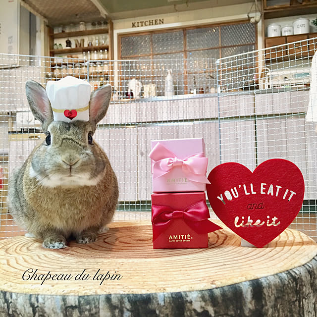 mashiさんの実例写真