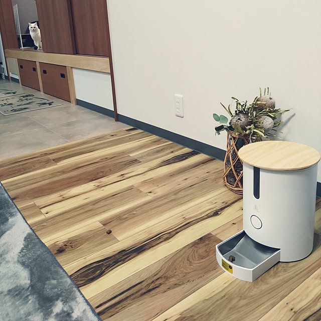 MIPORINNの-【TOLIGO ペットフィーダー 自動餌やり機 自動給餌器 スマホで操作】スマートペットフィーダー TLG-PT01 自動餌やり器 小型犬 猫 愛犬 愛猫 ペットグッズ ペット関連 フードディスペンサー ペット用ボウル 犬用 猫用 いぬ ねこ ペット用品の家具・インテリア写真