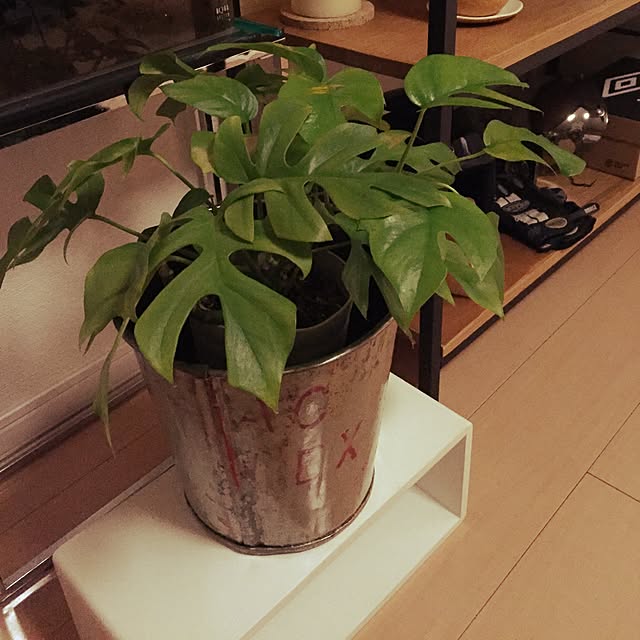 enoさんの実例写真