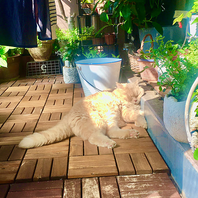 naokoさんの部屋