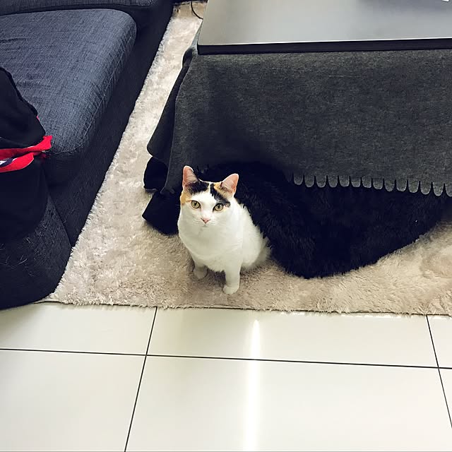 mashさんの実例写真