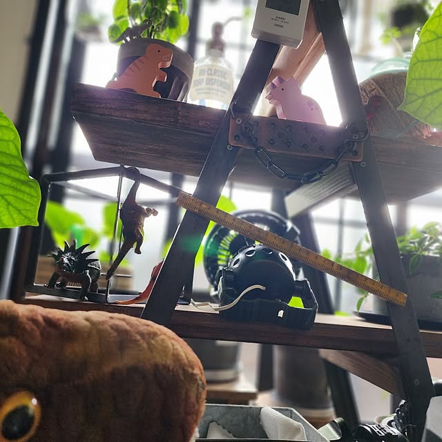 CYNOSさんの実例写真