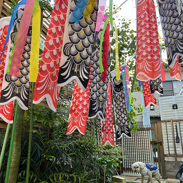 yukarimamaさんの部屋