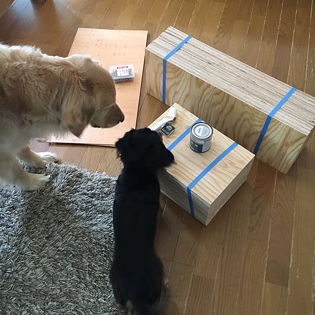 tomowithdogさんの実例写真
