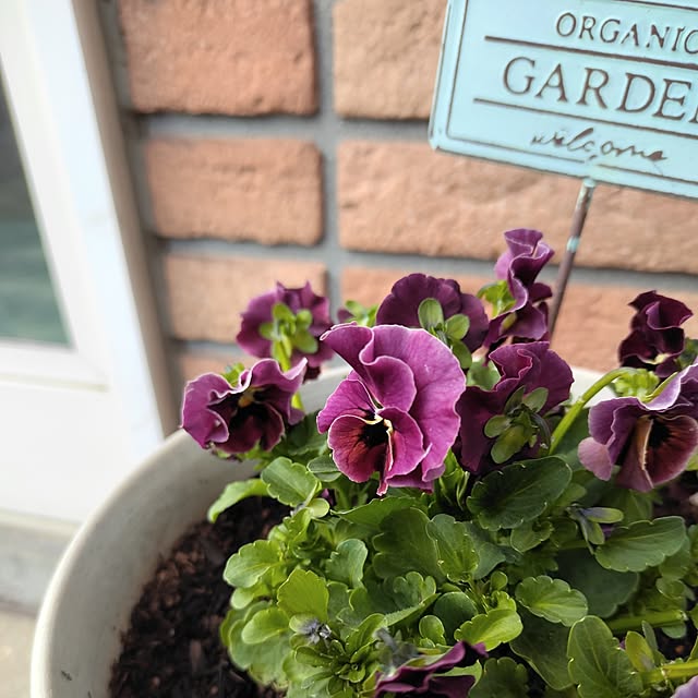 kiraさんの実例写真