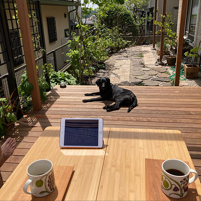 gaburimichaさんの実例写真