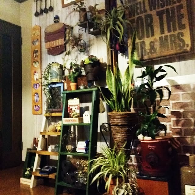hiyochanさんの実例写真