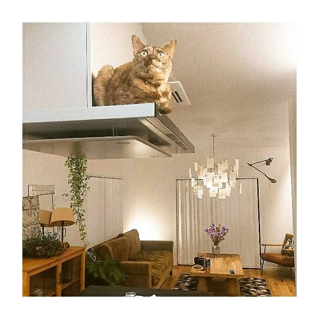 maison.de.brocanteさんの実例写真